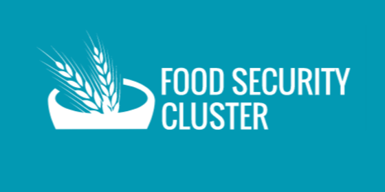 Food Security Cluster FSS